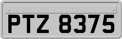 PTZ8375