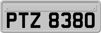 PTZ8380