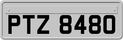 PTZ8480