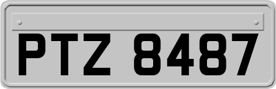 PTZ8487