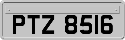 PTZ8516