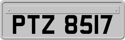 PTZ8517