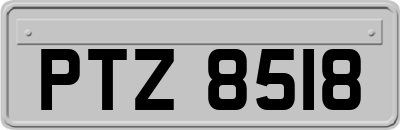 PTZ8518