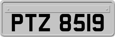 PTZ8519