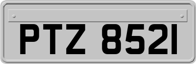 PTZ8521