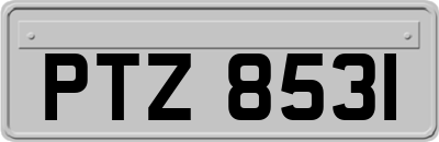 PTZ8531