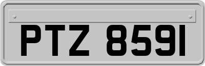 PTZ8591