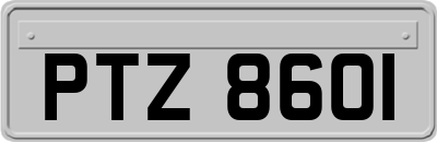 PTZ8601