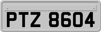 PTZ8604