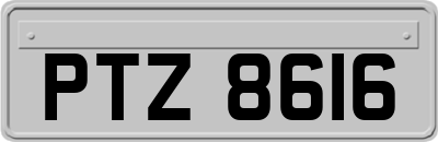 PTZ8616