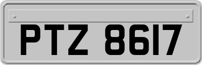 PTZ8617