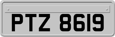 PTZ8619