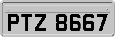 PTZ8667