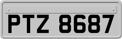 PTZ8687