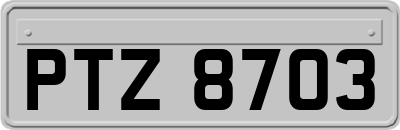 PTZ8703