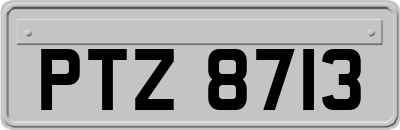 PTZ8713