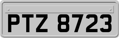 PTZ8723