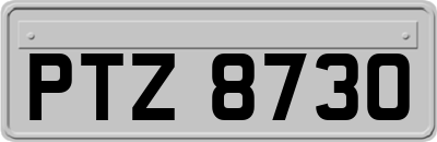 PTZ8730