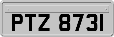 PTZ8731