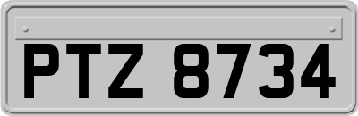 PTZ8734