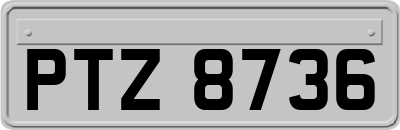 PTZ8736