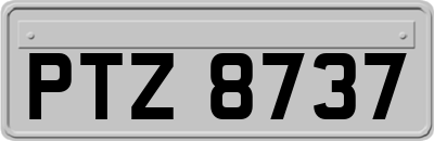 PTZ8737