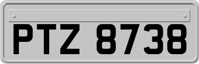 PTZ8738