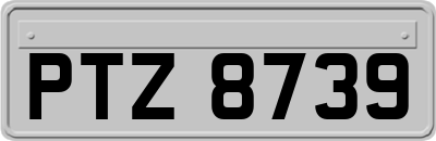 PTZ8739