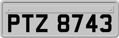 PTZ8743