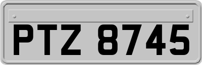 PTZ8745