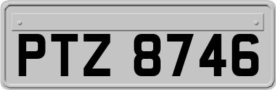 PTZ8746