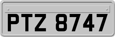 PTZ8747