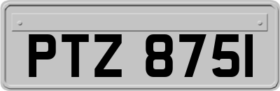 PTZ8751