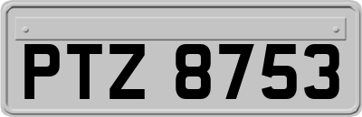 PTZ8753