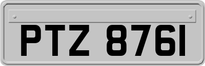 PTZ8761