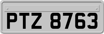 PTZ8763