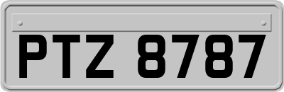 PTZ8787