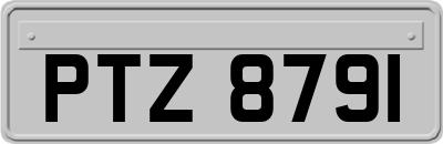 PTZ8791