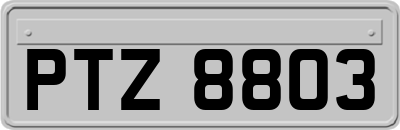 PTZ8803