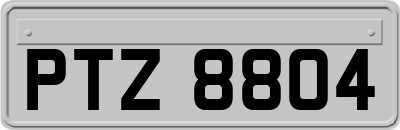 PTZ8804