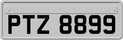 PTZ8899