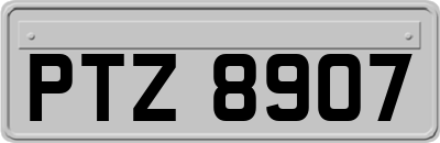 PTZ8907