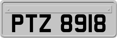 PTZ8918