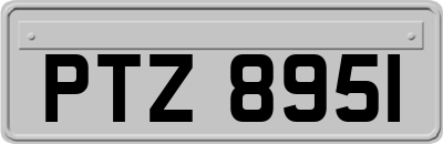 PTZ8951