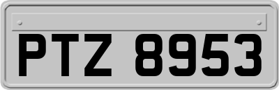 PTZ8953