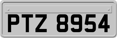 PTZ8954