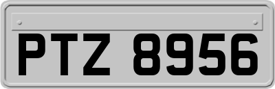 PTZ8956