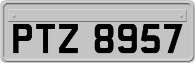 PTZ8957