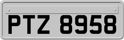 PTZ8958