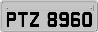 PTZ8960